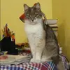 Отзыв от Людмила Головина